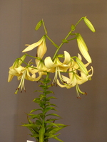 Foto: Dr. Peter Müller